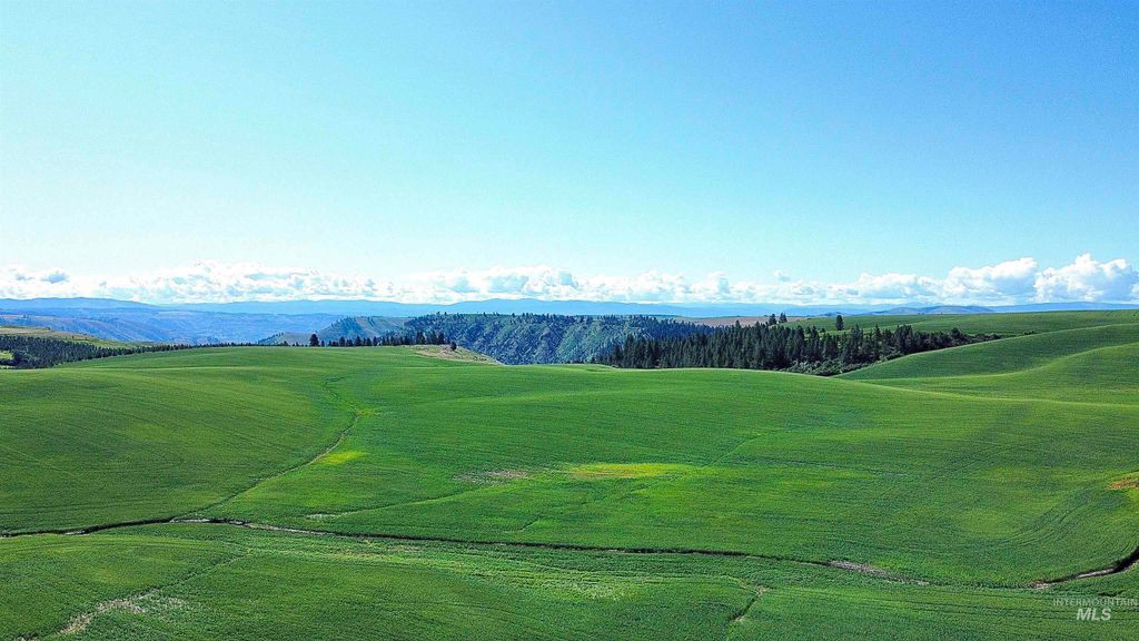 TBD Basket Rd, Nezperce, ID 83543 photo 11