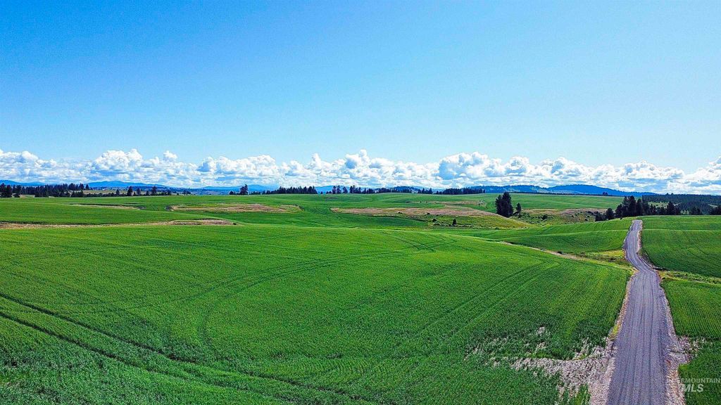 TBD Basket Rd, Nezperce, ID 83543 photo 12
