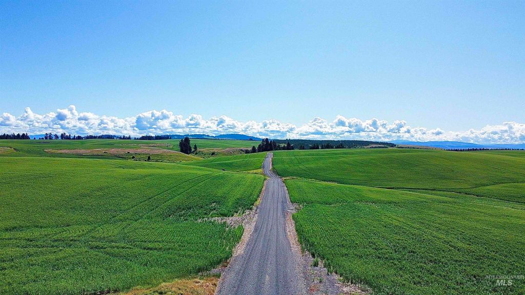 TBD Basket Rd, Nezperce, ID 83543 photo 3