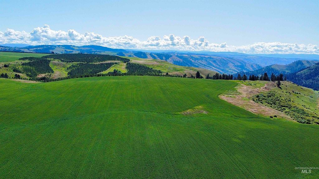 TBD Basket Rd, Nezperce, ID 83543 photo 5