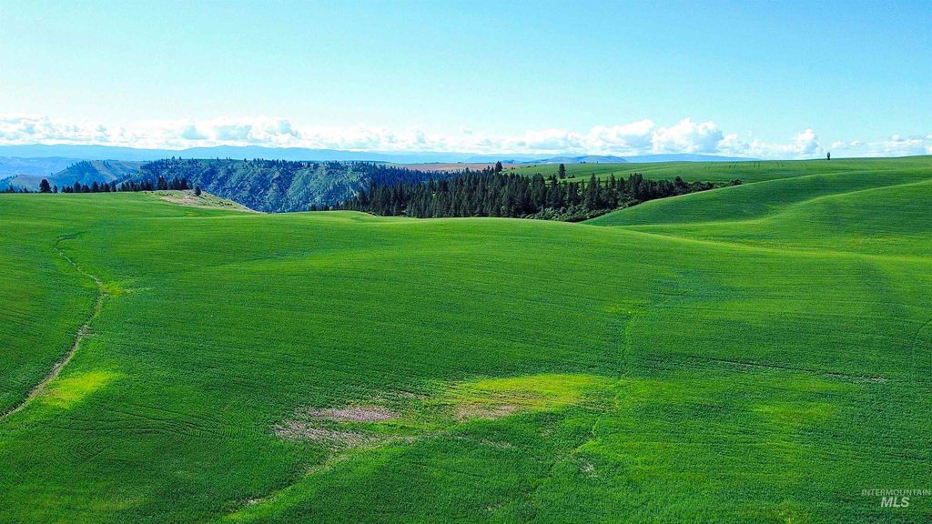 TBD Basket Rd, Nezperce, ID 83543 photo 8