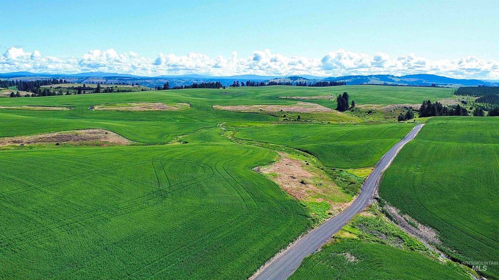 TBD Basket Rd, Nezperce, ID 83543 photo 9
