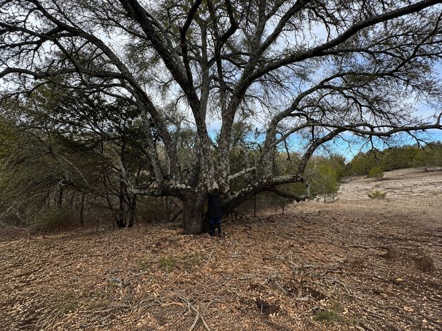 1146 Hidden Cove Trail, Glen Rose, TX 76043