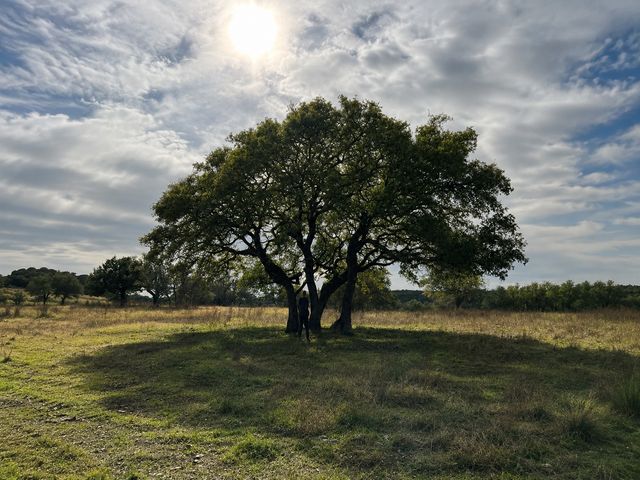 1146 Hidden Cove Trail, Glen Rose, TX 76043