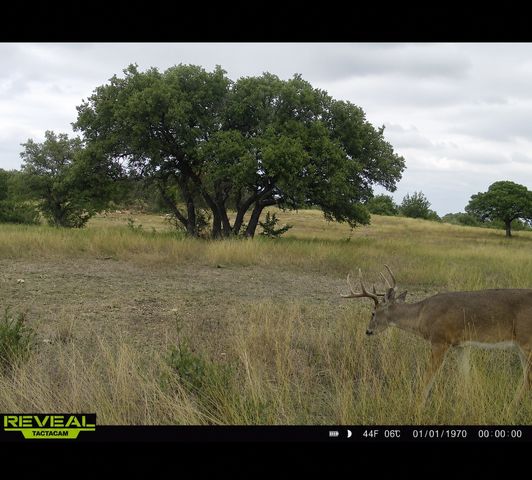 1146 Hidden Cove Trail, Glen Rose, TX 76043