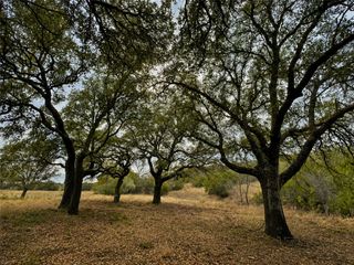 1146 Hidden Cove Trail, Glen Rose, TX 76043