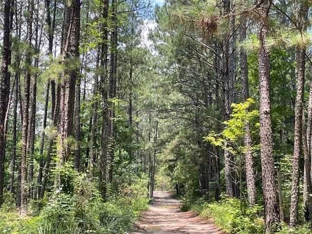 0 Frontier Drive, Conyers, GA 30012