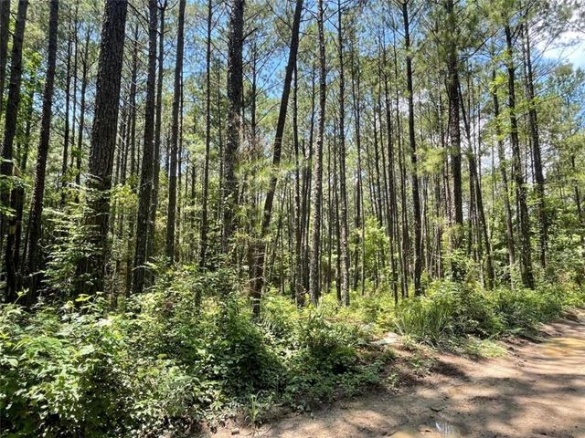 0 Frontier Drive, Conyers, GA 30012