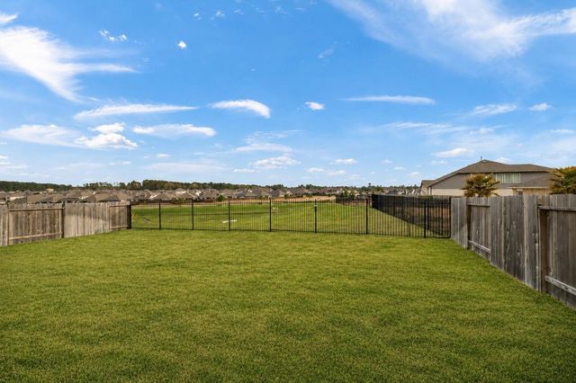 1259 Tilia Creek Lane, Montgomery, TX 77316