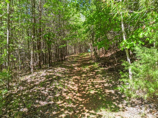 392 Oak Hills Drive, Morganton, GA 30560