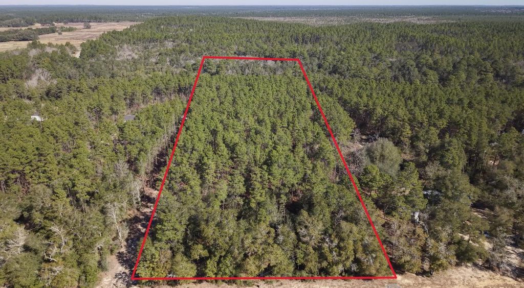 5 acres J W Hollington Road, Freeport, FL 32439