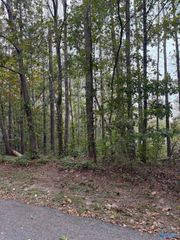 LOT 105 Creekwood Drive, Cherokee Ridge, AL 35175