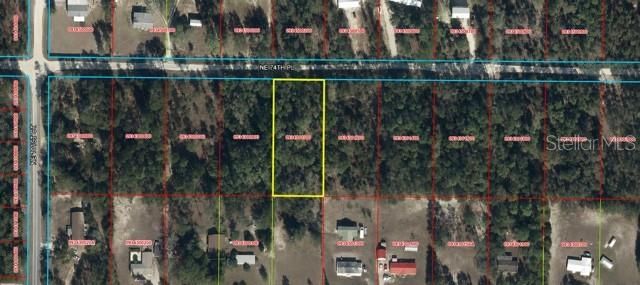 NE 74TH PLACE, Bronson, FL 32621