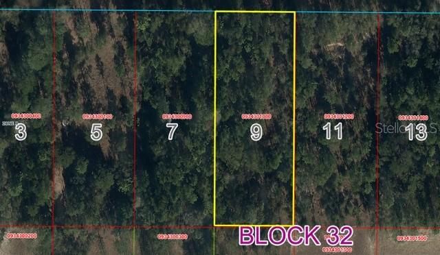 NE 74TH PLACE, Bronson, FL 32621