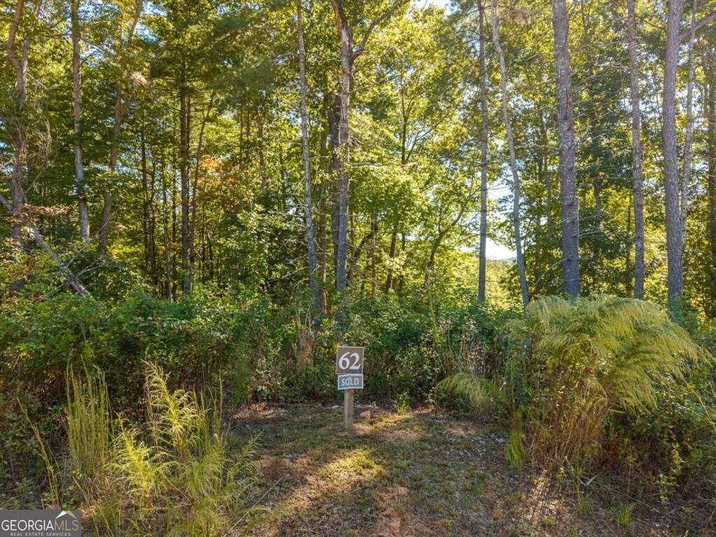 LOT 62 Ridge Drive 62, Blue Ridge, GA 30513 — photo 2