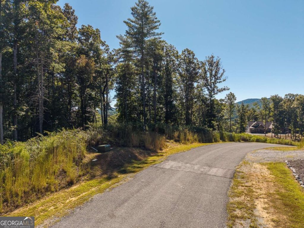 LOT 62 Ridge Drive 62, Blue Ridge, GA 30513 — photo 3