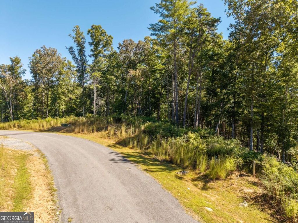 LOT 62 Ridge Drive 62, Blue Ridge, GA 30513 — photo 4
