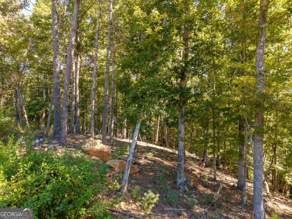 LOT 62 Ridge Drive 62, Blue Ridge, GA 30513 — photo 5