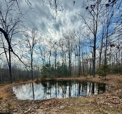 7842 Lay Road, Houston, MO 65483