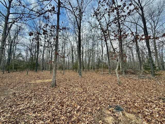 7842 Lay Road, Houston, MO 65483