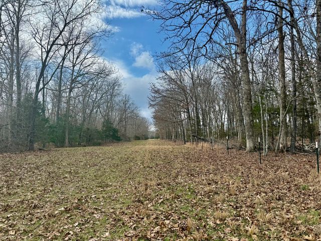 7842 Lay Road, Houston, MO 65483