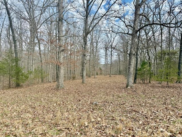 7842 Lay Road, Houston, MO 65483