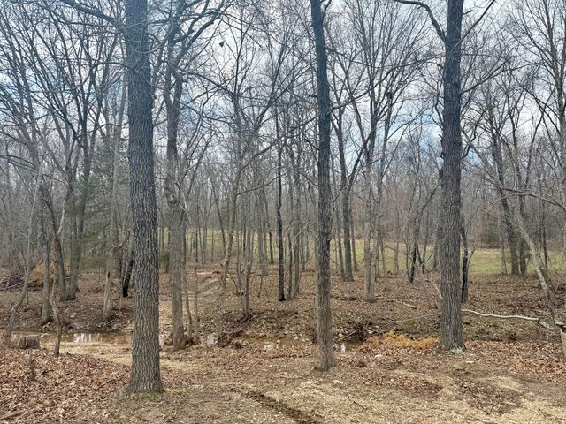 7842 Lay Road, Houston, MO 65483