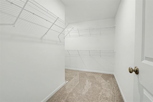 5601 Paxton Court, Portage, MI 49024