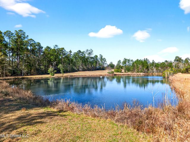 25125 Road 394, Picayune, MS 39466
