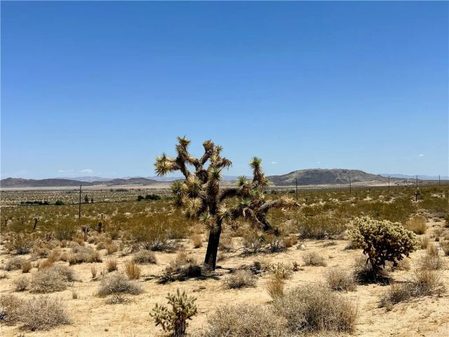 64200 Sullivan, Joshua Tree, CA 92252