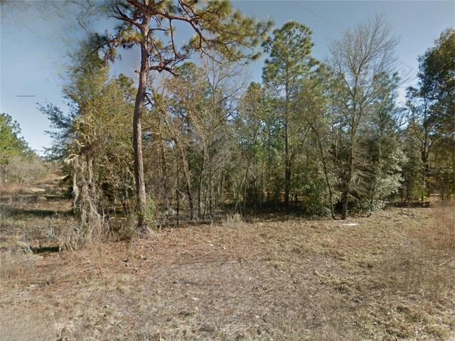 NE 15TH LN LOT 11, Williston, FL 32696
