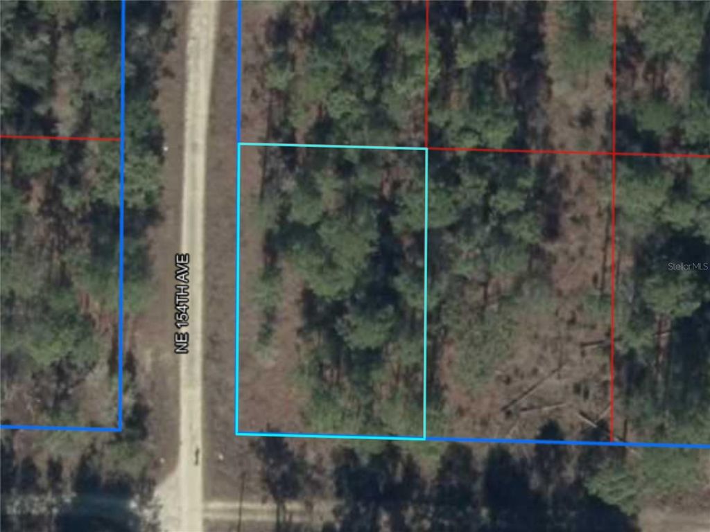 NE 15TH LN LOT 11, Williston, FL 32696