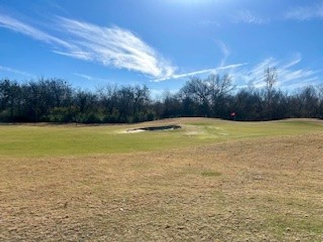 1213 Southern Oaks Court, Fort Worth, TX 76028