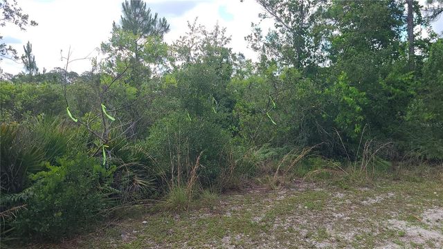 2575 BEAR RUN S, Frostproof, FL 33843