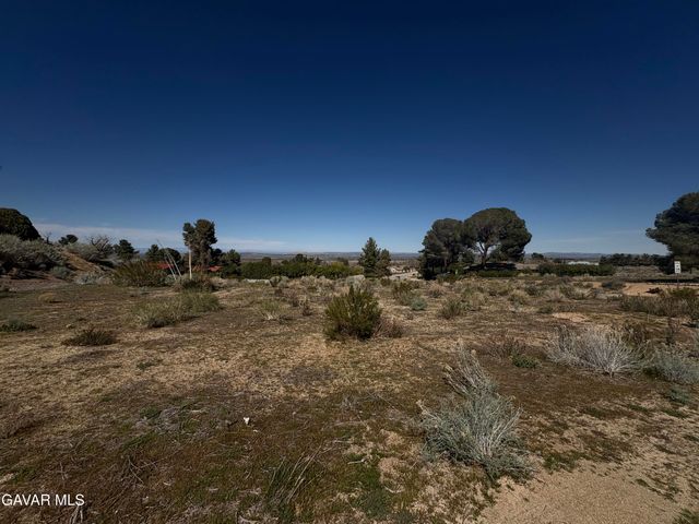 Boca Raton Avenue, Llano, CA 93544