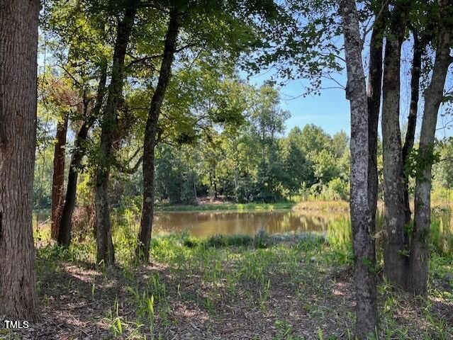 199 Pretty Run Branch Lane, Wendell, NC 27591