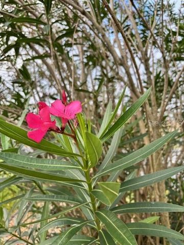 8955 SE 118TH LANE, Summerfield, FL 34491