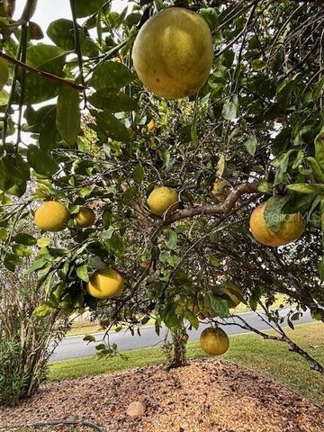 8955 SE 118TH LANE, Summerfield, FL 34491