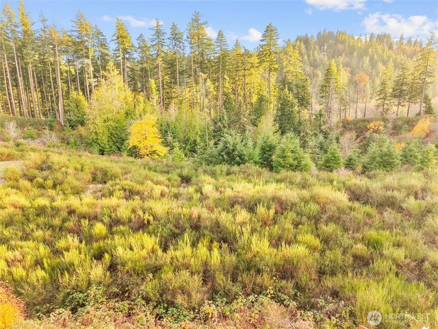 509 W B Street, Shelton, WA 98584