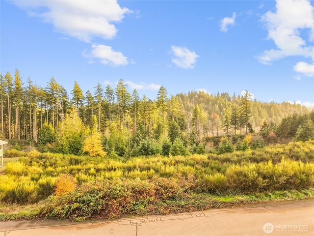 509 W B Street, Shelton, WA 98584