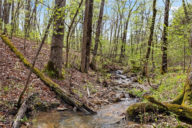 Lot 45 Oaks Landing Drive, Eureka Springs, AR 72631