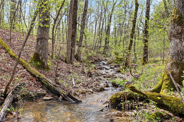 Lot 45 Oaks Landing Drive, Eureka Springs, AR 72631