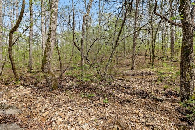 Lot 45 Oaks Landing Drive, Eureka Springs, AR 72631