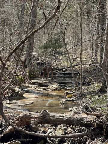 Lot 45 Oaks Landing Drive, Eureka Springs, AR 72631