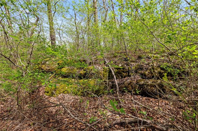 Lot 45 Oaks Landing Drive, Eureka Springs, AR 72631