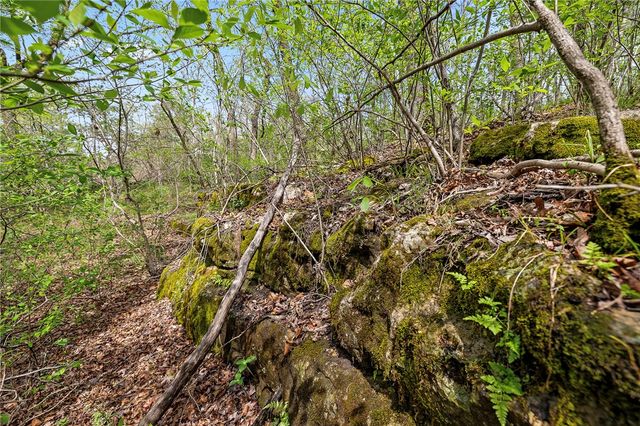 Lot 45 Oaks Landing Drive, Eureka Springs, AR 72631