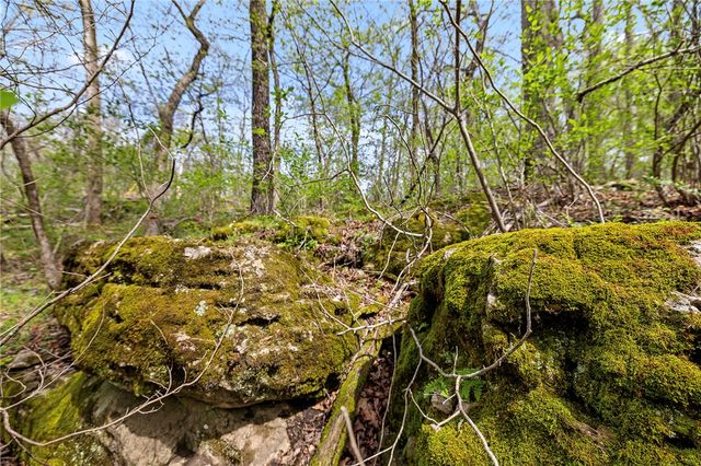 Lot 45 Oaks Landing Drive, Eureka Springs, AR 72631