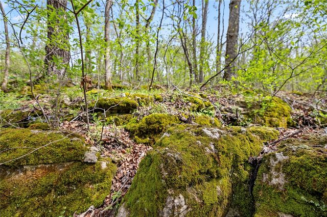 Lot 45 Oaks Landing Drive, Eureka Springs, AR 72631