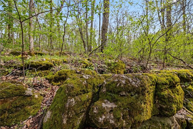 Lot 45 Oaks Landing Drive, Eureka Springs, AR 72631