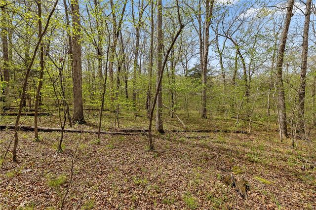 Lot 45 Oaks Landing Drive, Eureka Springs, AR 72631
